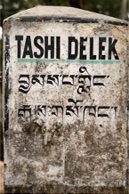 tashidelek